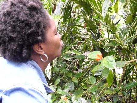 Asesoramos al SINAP de MiAMbiente de Panama en materia de Educación Ambiental y Comunicación